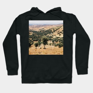 Olive Trees Hoodie